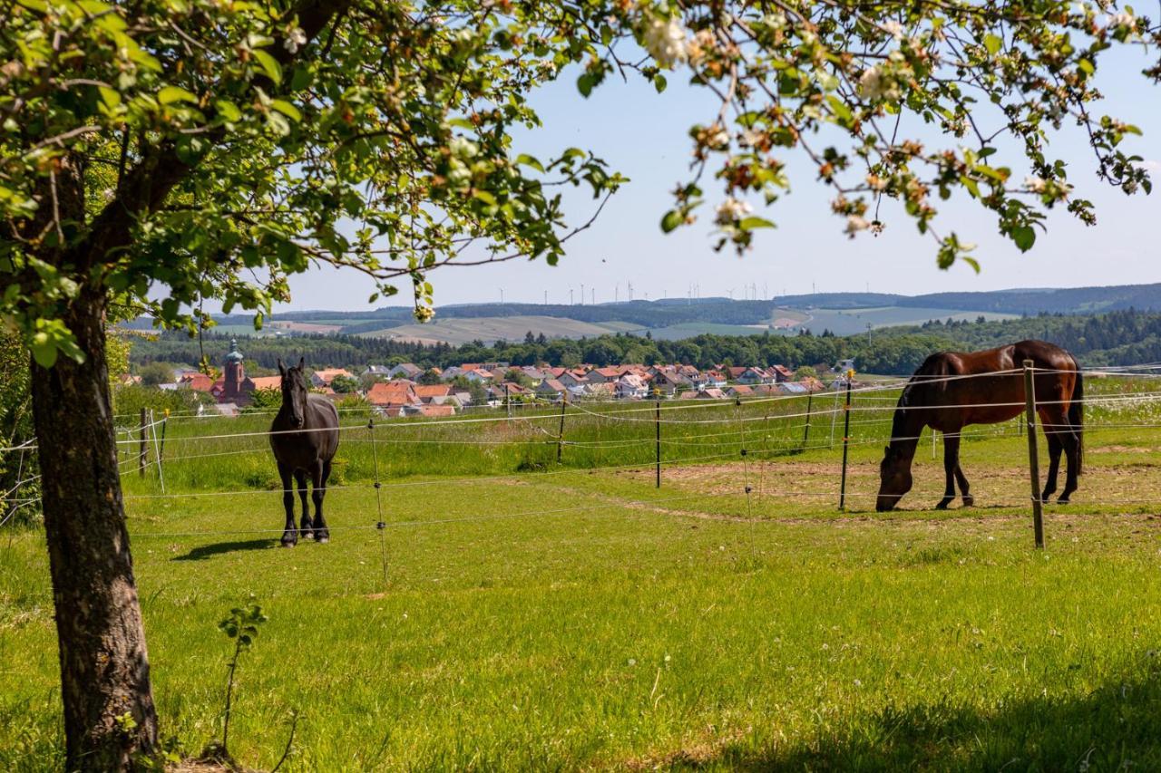 Pferdehof Bischof Leilighet Wertheim Eksteriør bilde